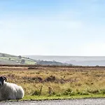 York Prázdninový dům Commondale