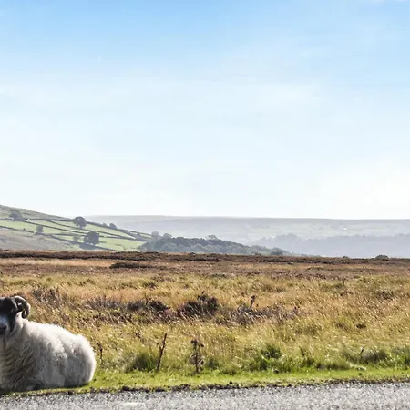 York Tatil Evi Commondale