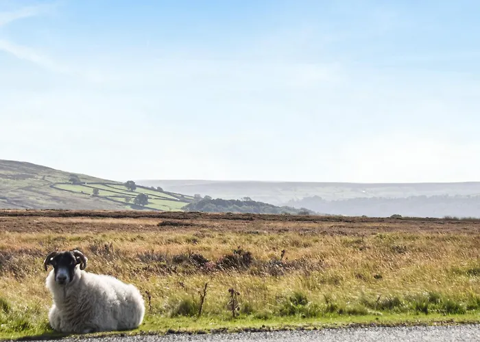 York Сasa de vacaciones Commondale